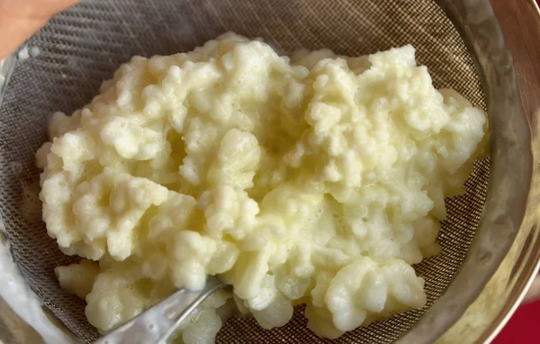 Obrázek zblízka v granule Kefir — Stock fotografie