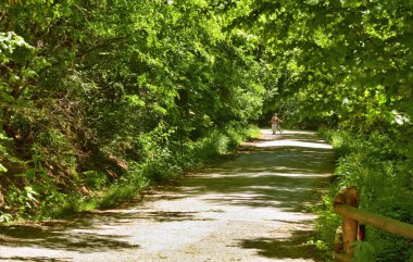 Doğal bir parkta, bir kadın bisikletini alır.