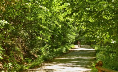 Doğal bir parkta, bir kadın bisikletini alır.