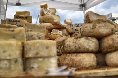 Terbiyeli tomes ve tipik Piedmontese peynirleri