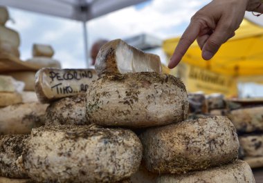 Terbiyeli tomes ve tipik Piedmontese peynirleri