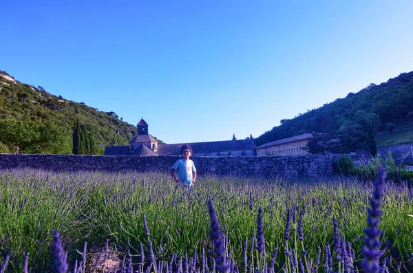 Frankrike, Provence, Senanque — Stockfoto