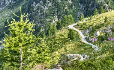 Bir dağ yolunda görünüm