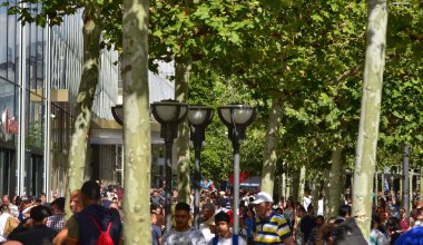 Zeil, sosyal hayatın gerçekleştiği kurs.