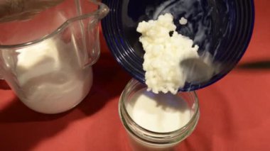 Süt kefir hazırlama, granüller cam kavanoza döküldü ve sütle karıştırıldı..
