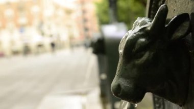 Torino, Piedmont, İtalya. Mayıs 2019. Gian Lorenzo Bernini Meydanı 'na bir göz atalım. İçme suyu çeşmelerinin üçlüsü, ilki açık boğanın kafasını gösteriyor ve diğerleri de arka planda bulanıklaşıyor..