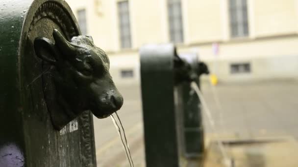 Turin, Piemont, Italien. Mai 2019. Ein Blick auf die Piazza Gian Lorenzo Bernini. Ein Triptychon aus Trinkwasserbrunnen, die erste zeigt den klaren Stierkopf, die anderen verschwimmen im Hintergrund.. — Stockvideo