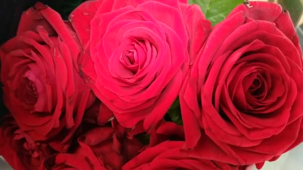 Primer Plano Los Brotes Pequeño Ramo Rosas Rojas Observe Celofán — Vídeo de stock