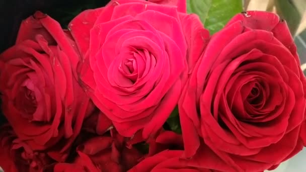 Primer Plano Los Brotes Pequeño Ramo Rosas Rojas Observe Celofán — Vídeo de stock