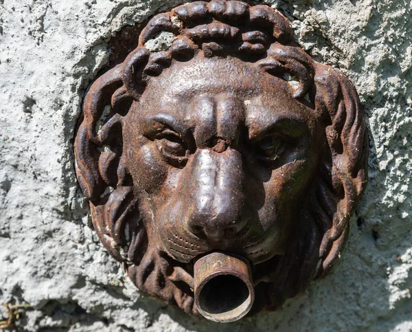 Fountain with muzzle of an iron lion: it is completely covered by a rust patina which gives it its brown color.