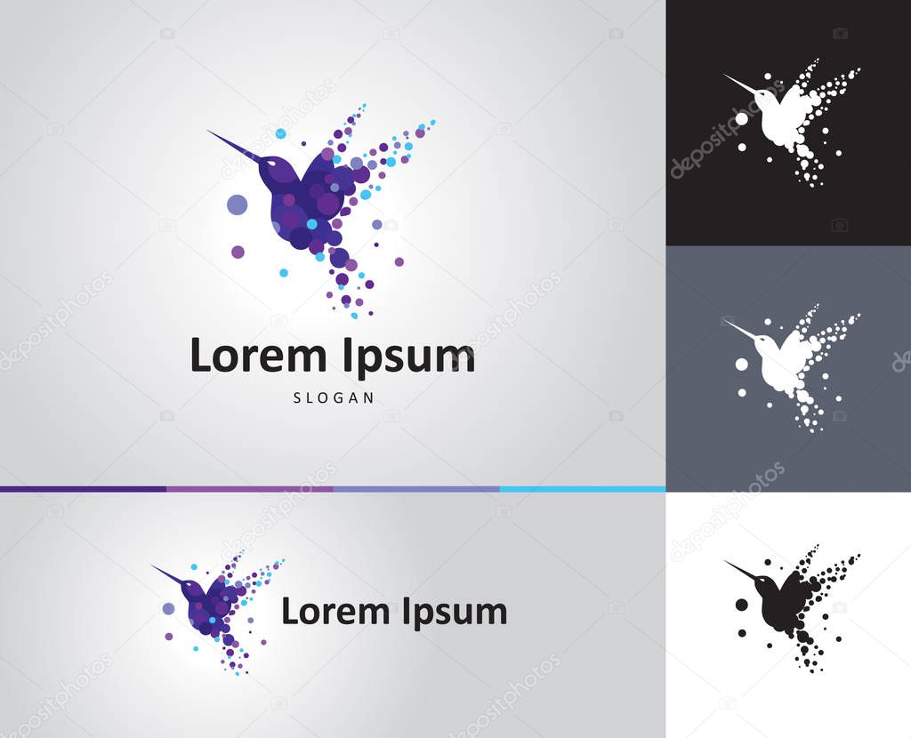 Colibri vector logo design for business