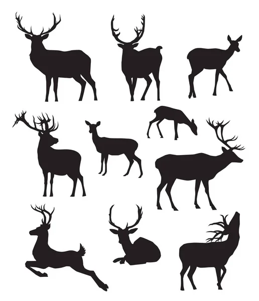 Deer Silhouette Vector Illustration — Stock Vector