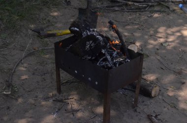 Bir yaz akşamı yeşil ağaçların kömürlerin yanma ile ızgara.