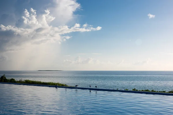 Kuşlar artalanları, Cayo Guillermo, Küba, Caribbean, Atlantik ile havuz kenarında