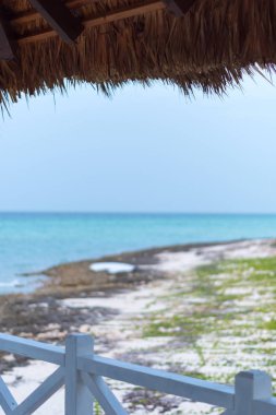 Ocean palm dan çıkmak sığınak, Cayo Guillermo, Küba, Caribbean