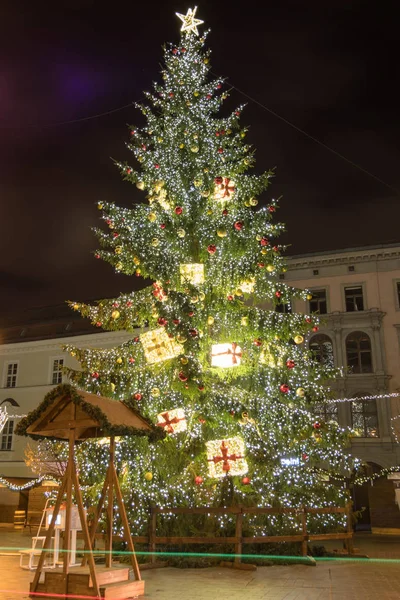 Weihnachtsbaum Auf Dem Platz Der Freiheit Brno Tschechische Republik Europa Stockbild