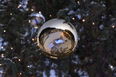 Noel ağacı, Canazei, İtalya, Avrupa konusunda Noel ampul