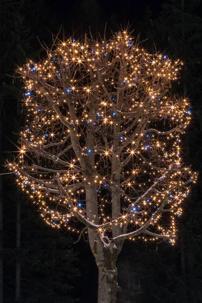 Tipik olmayan Noel ağacı, Canazei, İtalya, Europe