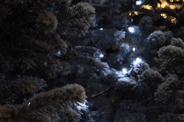 Noel ve yılbaşı ağaç dalları kar ve garland ile. mavi ışık garland. soğuk yürüyüş. Noel ve yeni yıl ruh hali. tatil. 