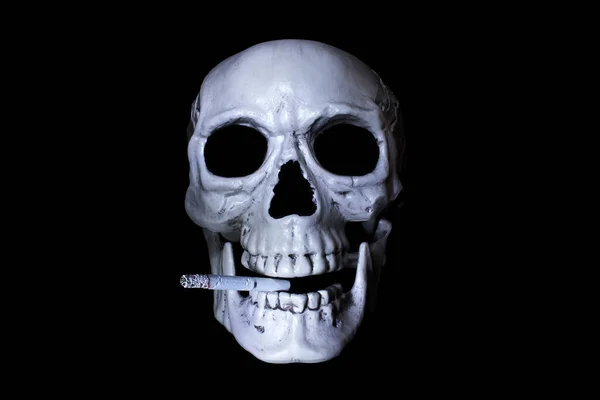 Human skull with a smoldering cigarette in the mouth. Isolated on black. Danger of smoking concept.