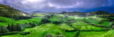 Çayırlar ve Ponta Delgada, Azor okyanusta üzerinde ineklerin