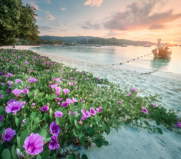 Station tropicale, palmier et côte de la Thaïlande plage — Photo