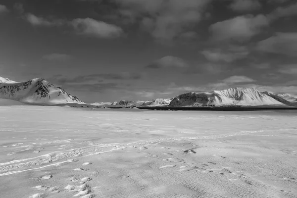 冰天雪地的绝妙图画 — 图库照片