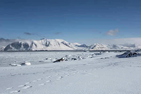 Ατελείωτο Χιονισμένο Αρκτικό Τοπίο — Φωτογραφία Αρχείου