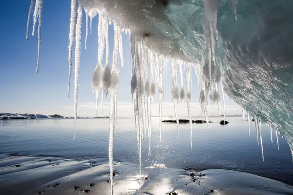 Gorgeous Picture Ice Pieces Icicles — Stock Photo, Image