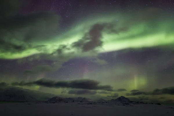 Északi Fények Felhős Éjszakai Égbolt Felett — Stock Fotó