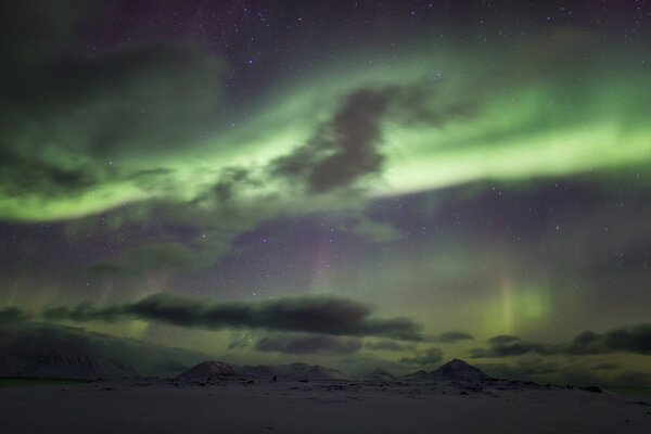 Northern lights above the cloudy night sky