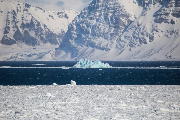 在北极冷水中漂浮的小冰山 — 图库照片