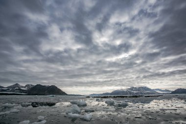 Kıyıdan bir su manzarası