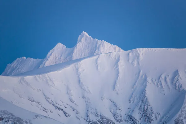 Sonsuz karlı kutup manzarası 