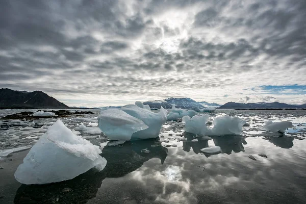 Buz Blokları Olan Bir Kıyıdan Manzarası — Stok fotoğraf