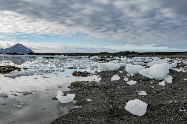 氷の塊を持つ海岸からの水の上で見る — ストック写真