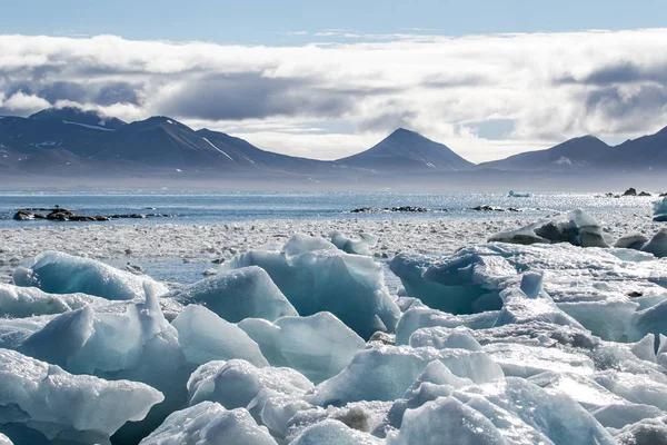 氷に覆われた風景の写真 — ストック写真