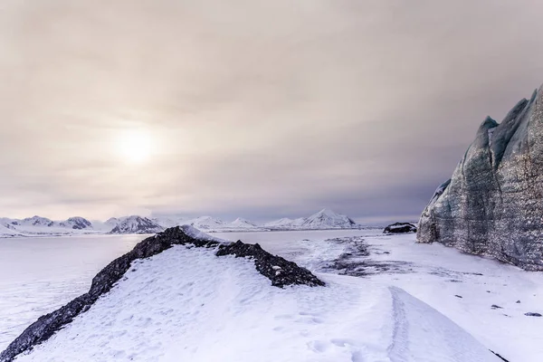 Buzlu donmuş bir manzaranın resmi. 