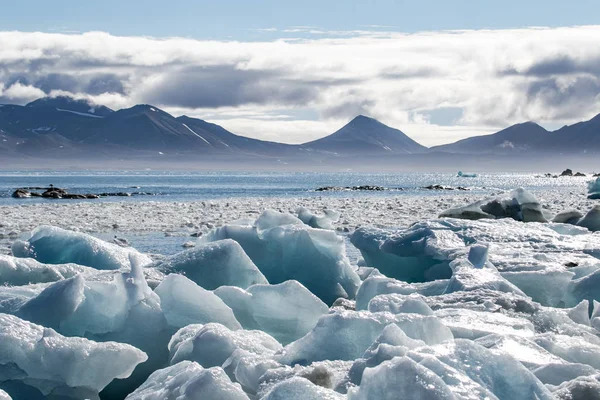 Hielo Ártico Sur Spitsbergen —  Fotos de Stock
