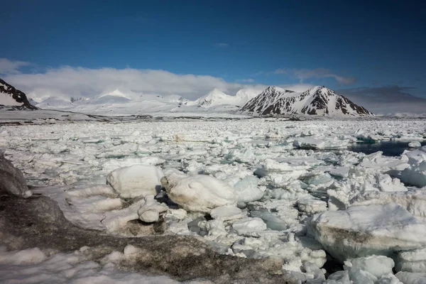 Karlı Donmuş Deniz Kıyılarının Fotoğrafı Buz Taşlarla Birlikte — Stok fotoğraf