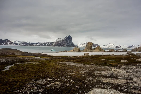 Tundra Kıyısından Bir Manzarası — Stok fotoğraf