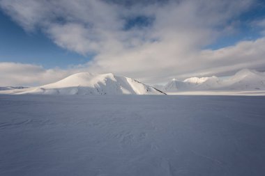 Sonsuz karlı kutup manzarası 