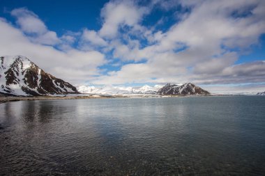 Karlı donmuş deniz kıyılarının fotoğrafı. Buz ve taşlarla birlikte.