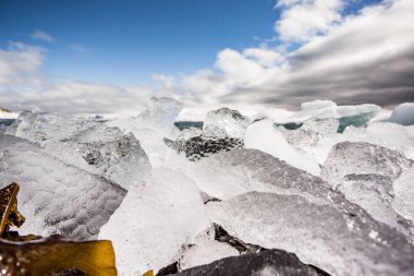 Kuzey Kutbu buzunun fotoğraflarını kapat