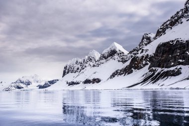Arktika 'daki karlı kayalık kıyı şeridine sudan bak