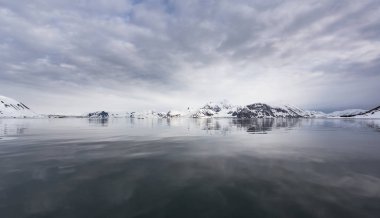 Arktika 'daki karlı kayalık kıyı şeridine sudan bak