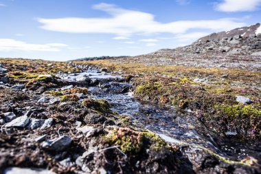 Kutup manzaralı muhteşem bir fotoğraf.