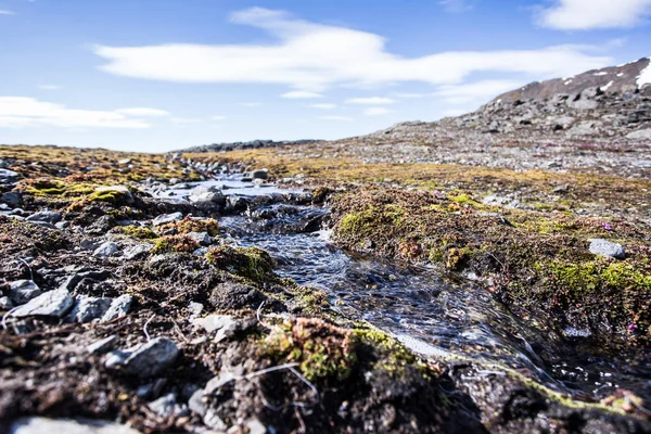 Kutup manzaralı muhteşem bir fotoğraf.