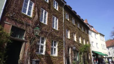 Bitkilerle büyümüş evi