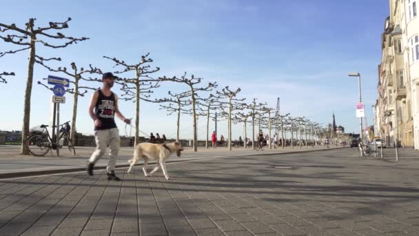 Dusseldorf Lungomare del fiume Rhien, Germania — Video Stock